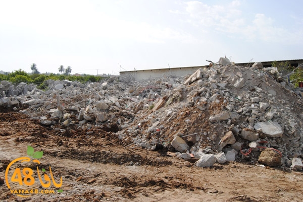 dahmash hademrej (6).JPG